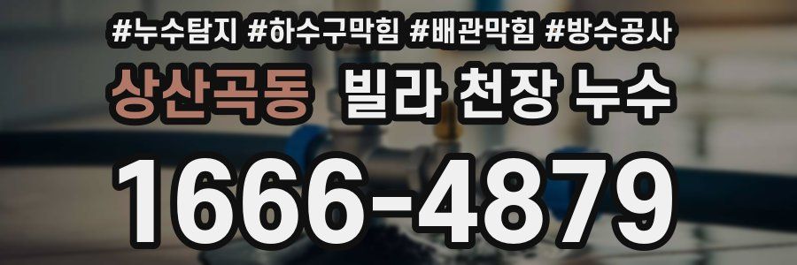상산곡동 빌라 천장 누수