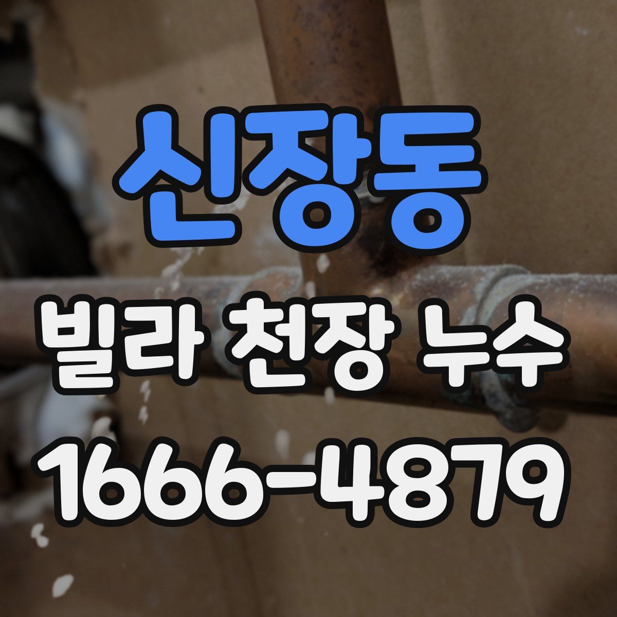 신장동 빌라 천장 누수