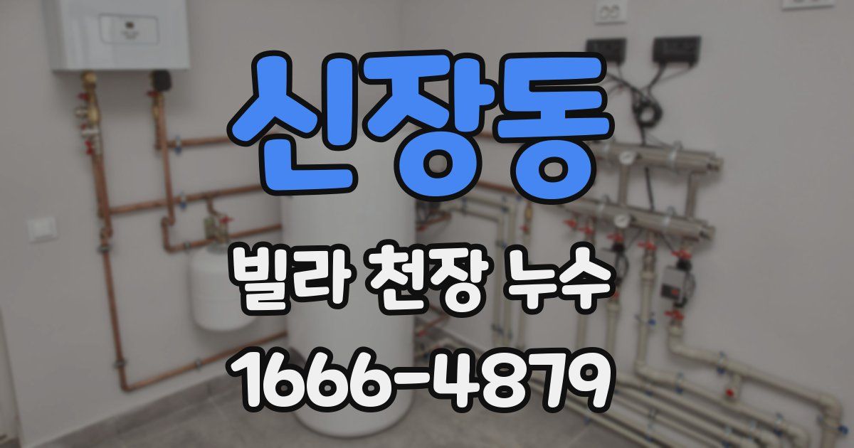 신장동 빌라 천장 누수