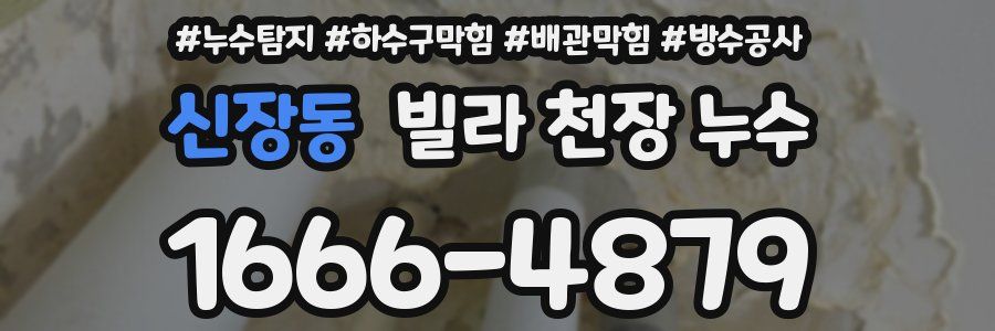 신장동 빌라 천장 누수
