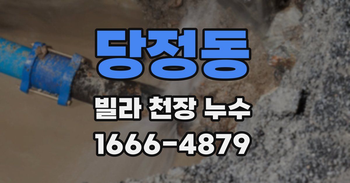 당정동 빌라 천장 누수