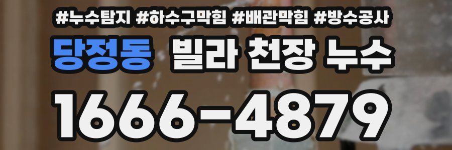 당정동 빌라 천장 누수