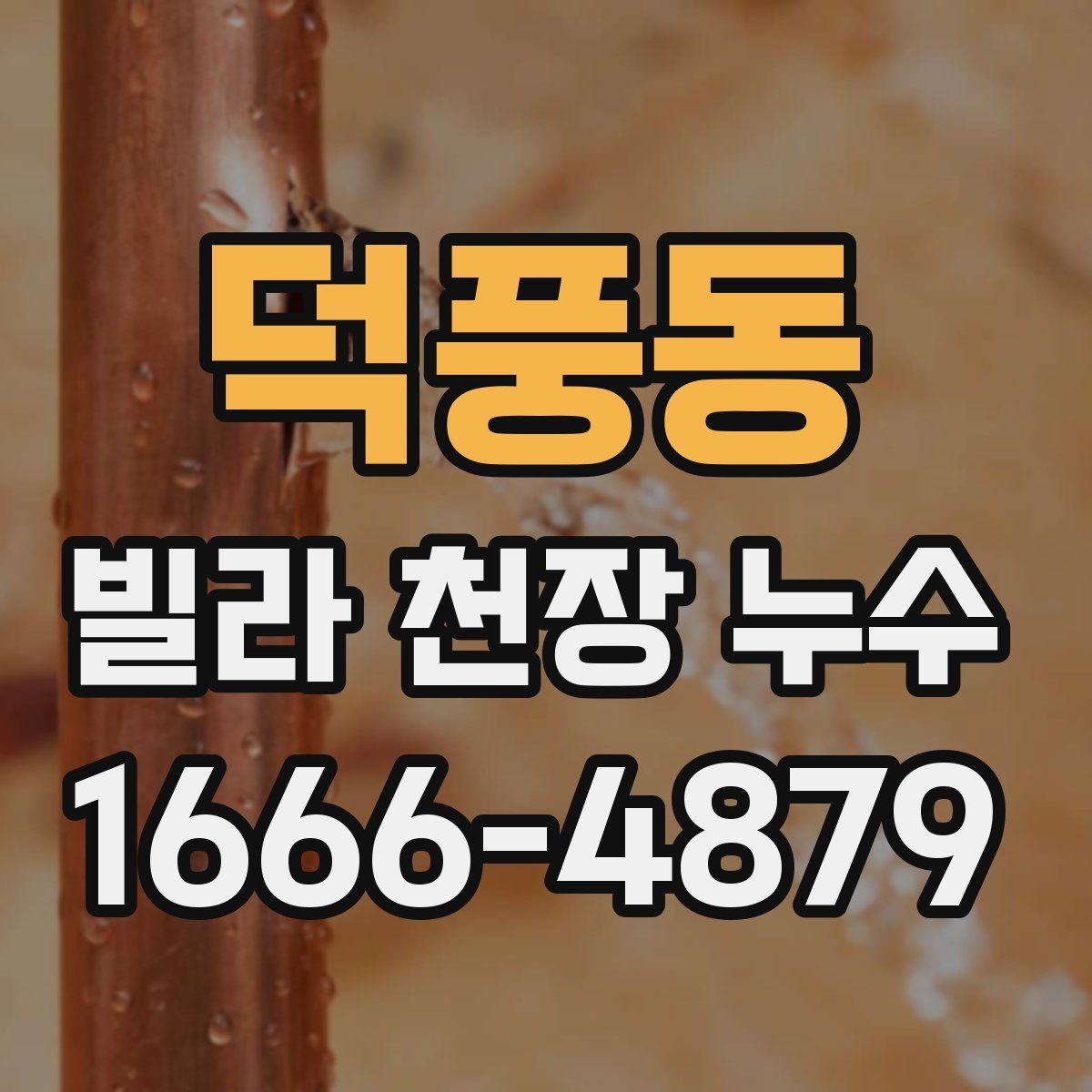 덕풍동 빌라 천장 누수