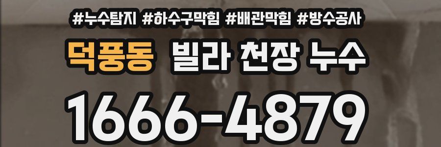 덕풍동 빌라 천장 누수