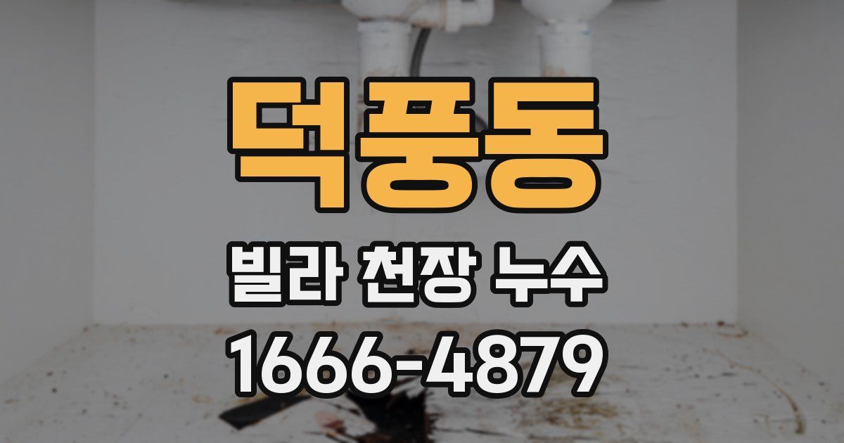 덕풍동 빌라 천장 누수