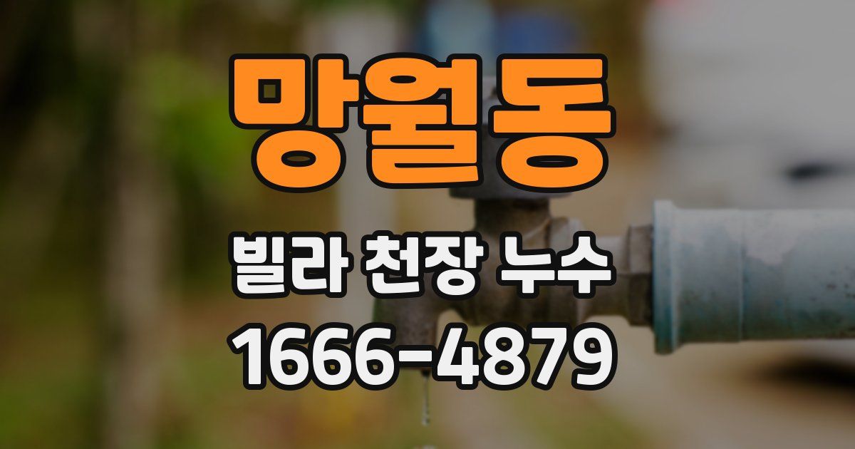 망월동 빌라 천장 누수