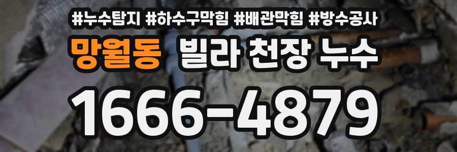 망월동 빌라 천장 누수