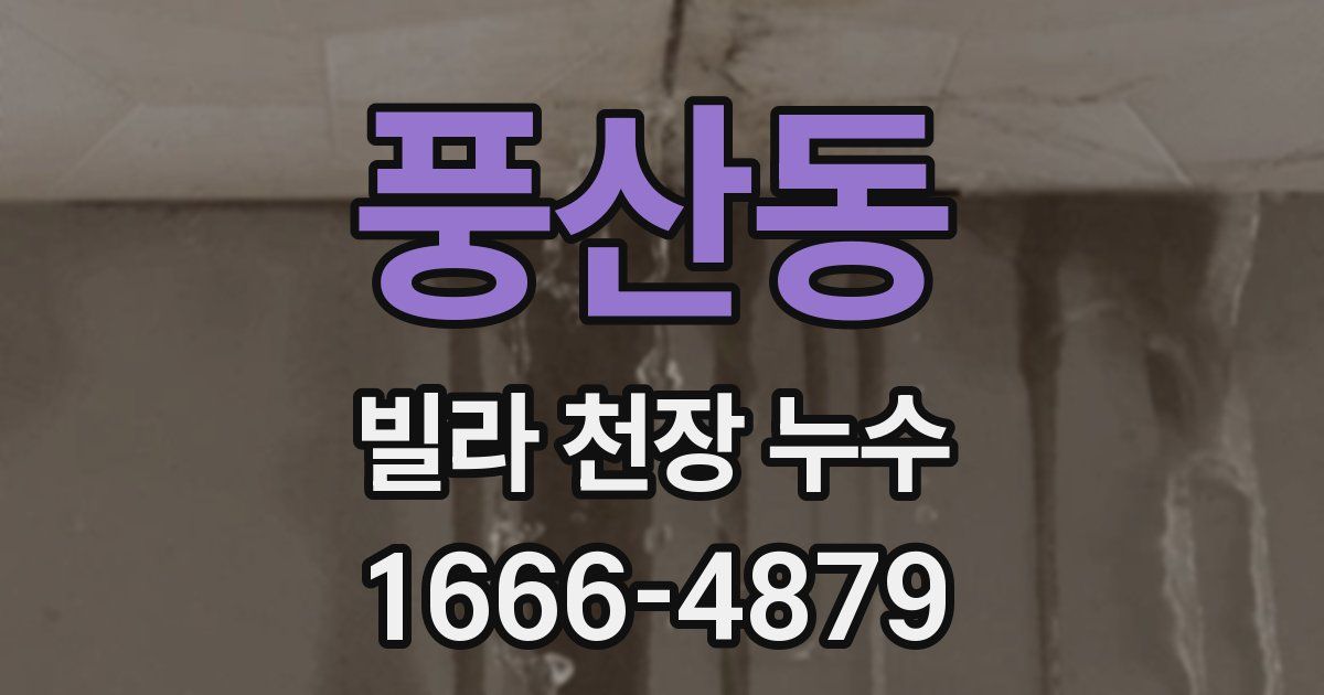 풍산동 빌라 천장 누수