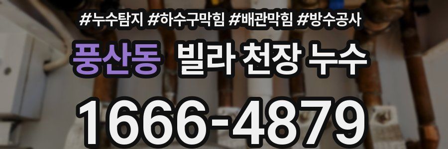 풍산동 빌라 천장 누수
