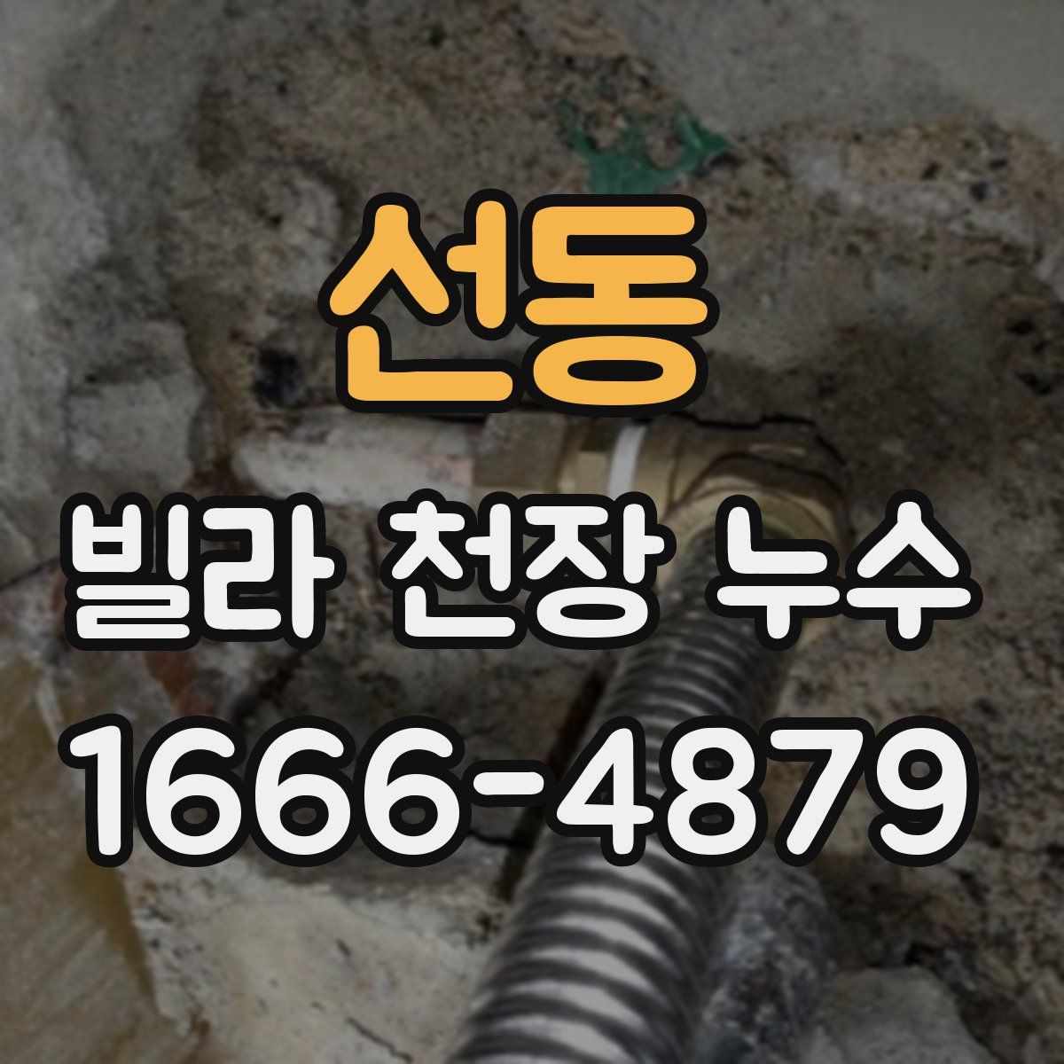 선동 빌라 천장 누수