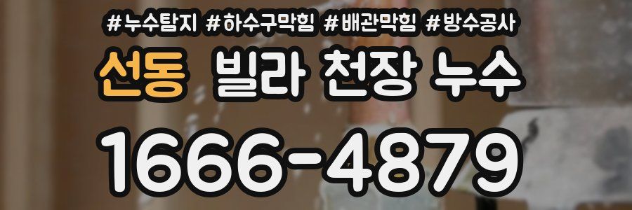 선동 빌라 천장 누수