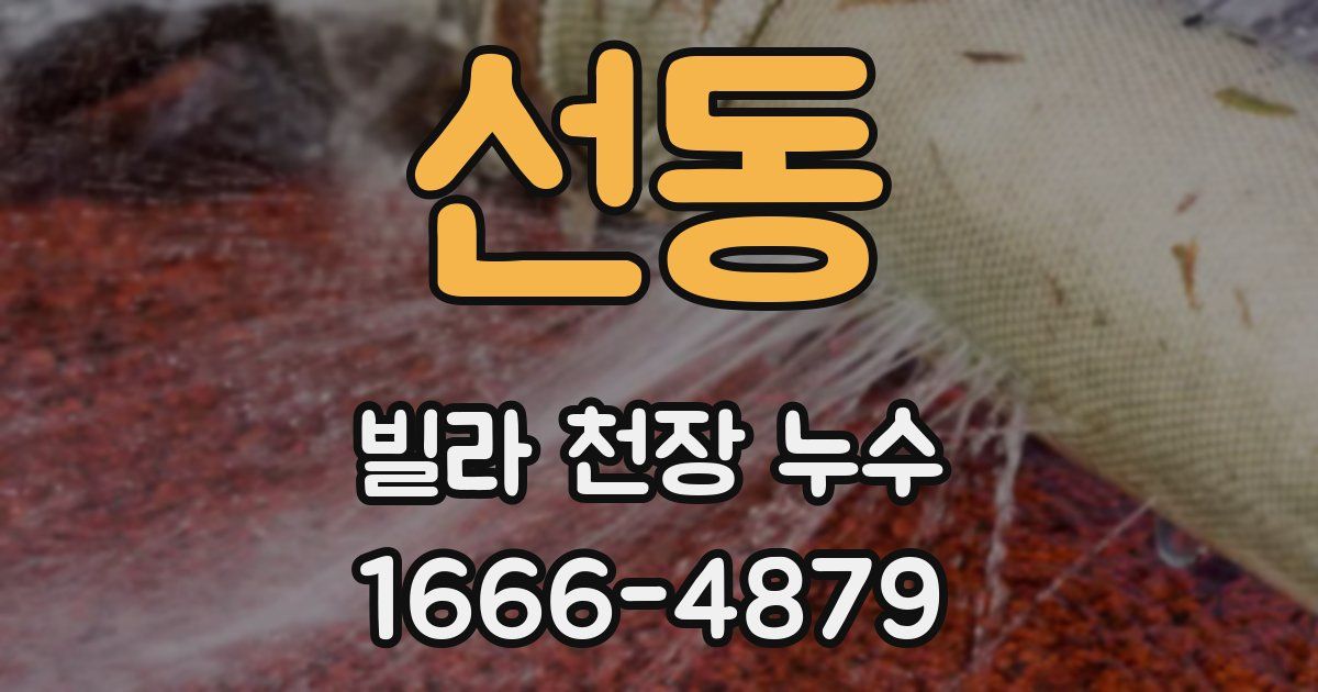 선동 빌라 천장 누수