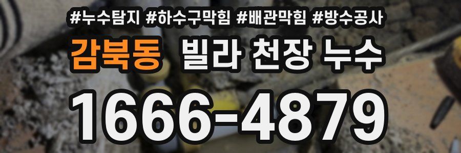 감북동 빌라 천장 누수