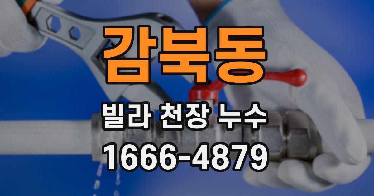 감북동 빌라 천장 누수
