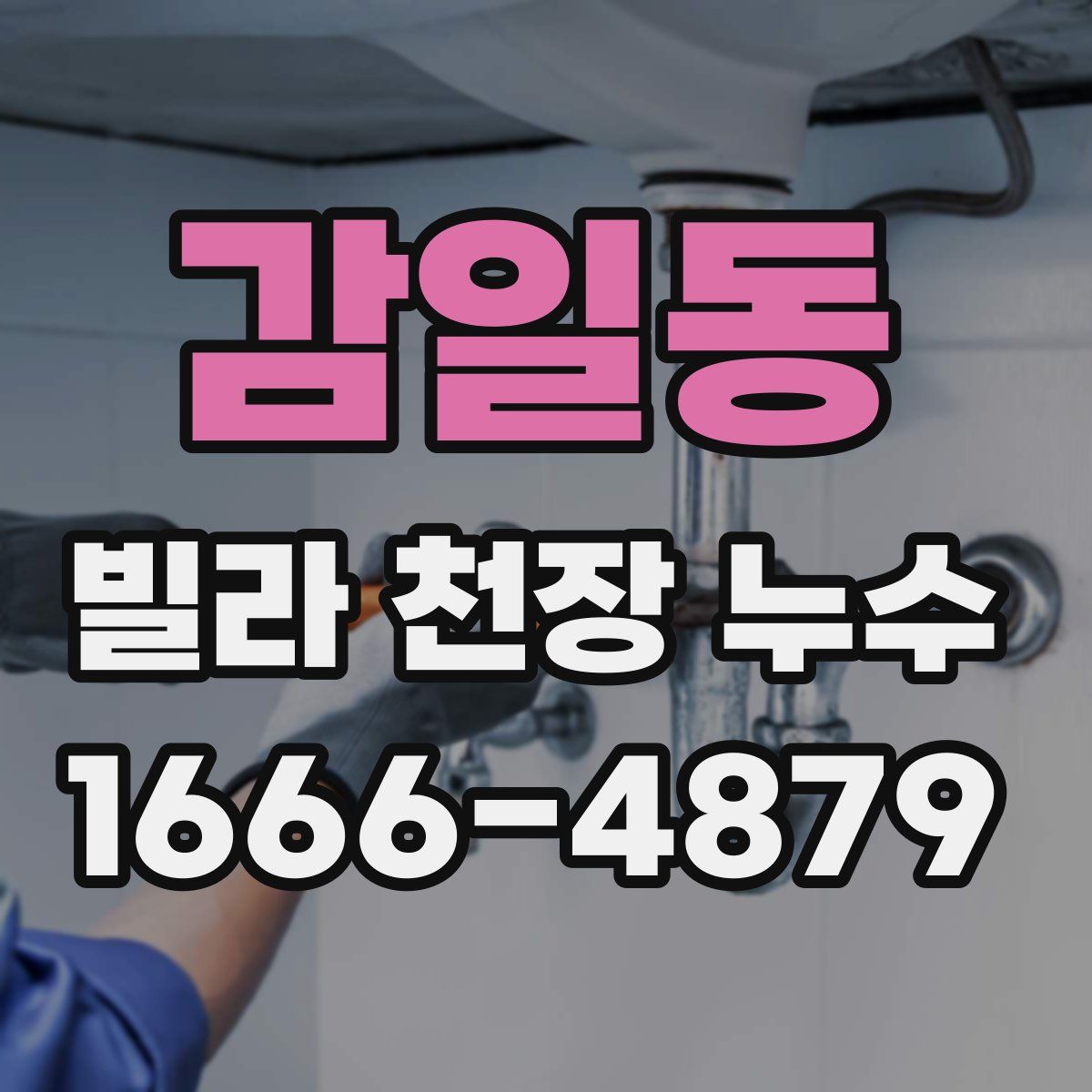 감일동 빌라 천장 누수