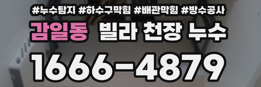 감일동 빌라 천장 누수
