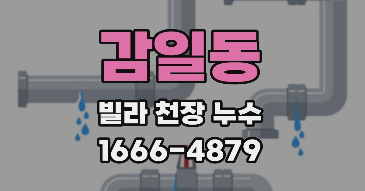 감일동 빌라 천장 누수