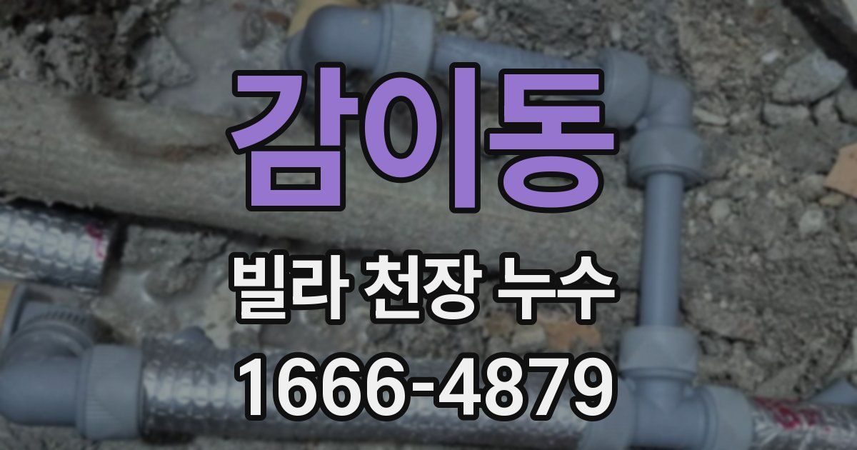 감이동 빌라 천장 누수