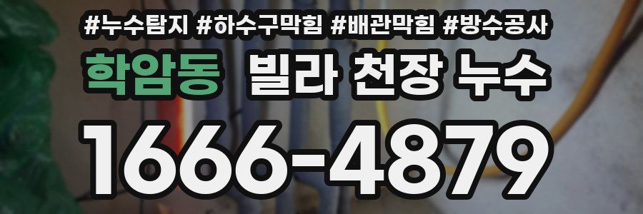 학암동 빌라 천장 누수
