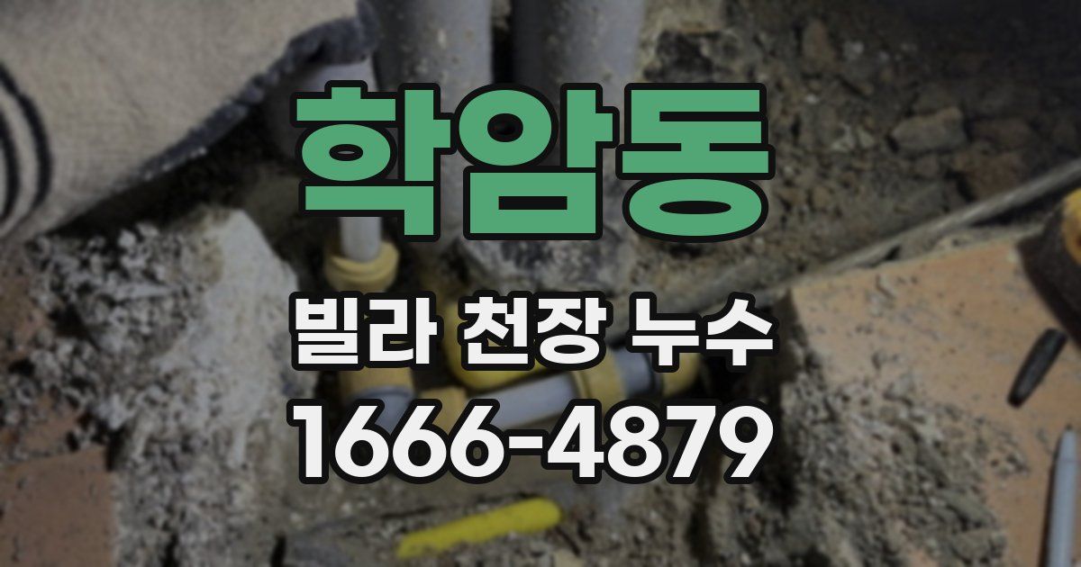 학암동 빌라 천장 누수