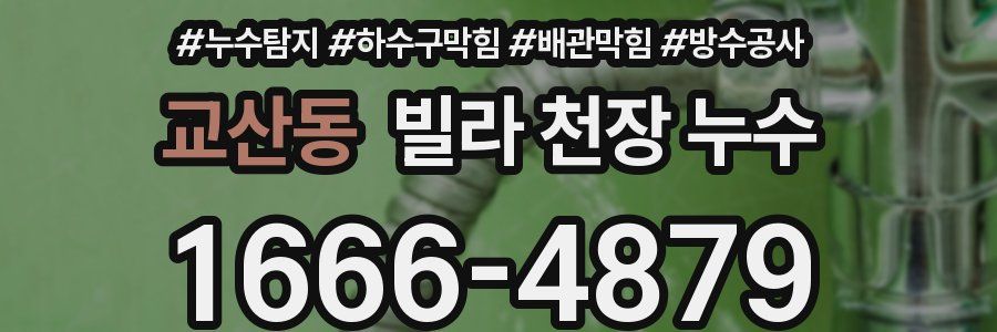 교산동 빌라 천장 누수