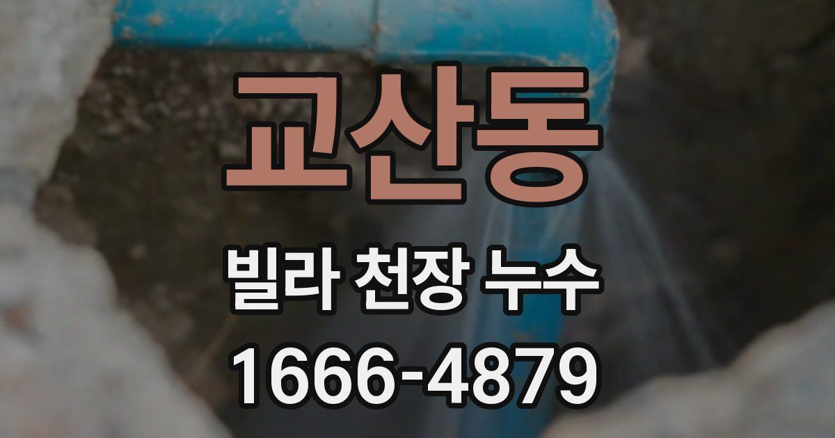 교산동 빌라 천장 누수