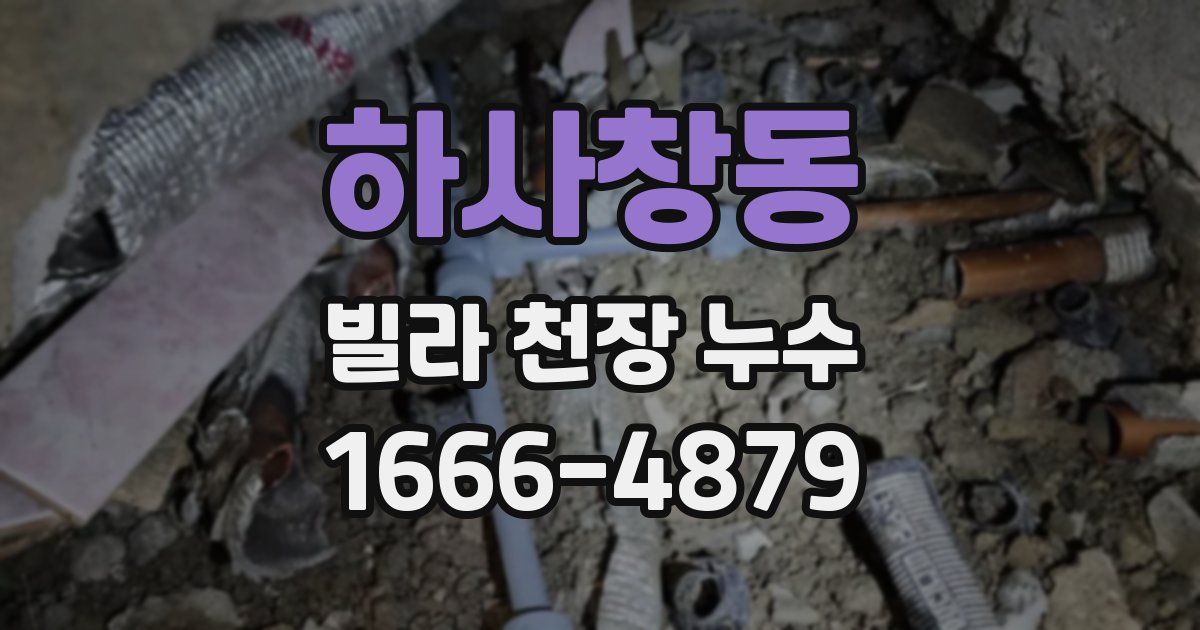 하사창동 빌라 천장 누수
