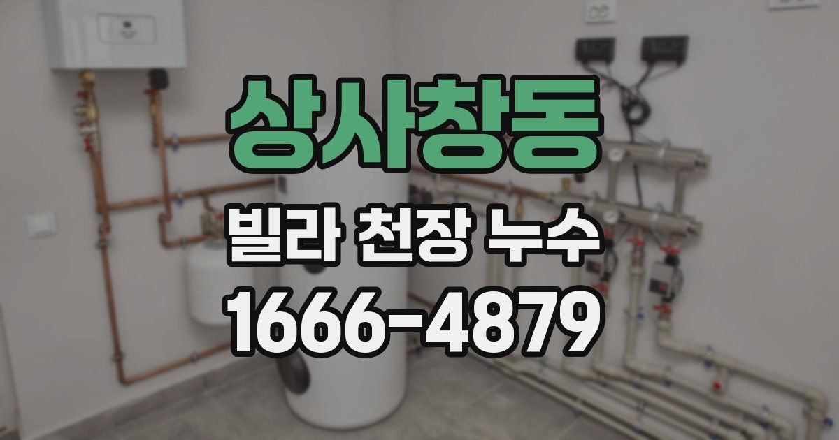 상사창동 빌라 천장 누수
