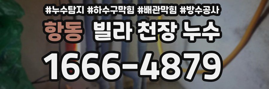항동 빌라 천장 누수