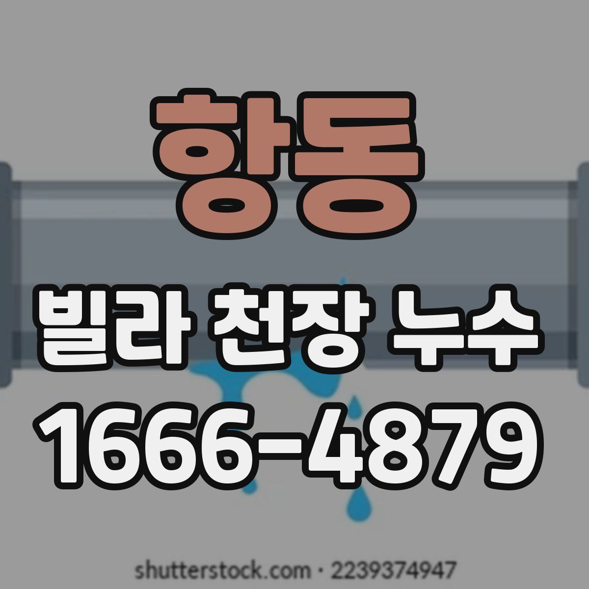 항동 빌라 천장 누수