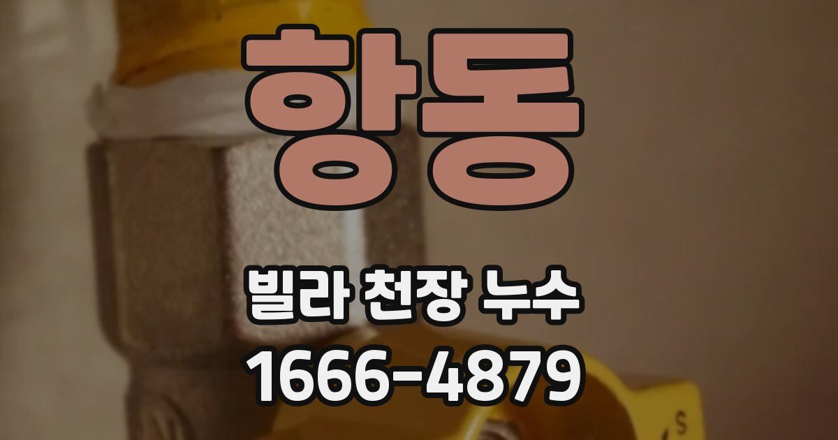 항동 빌라 천장 누수
