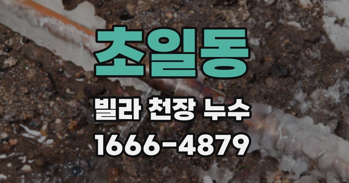 초일동 빌라 천장 누수