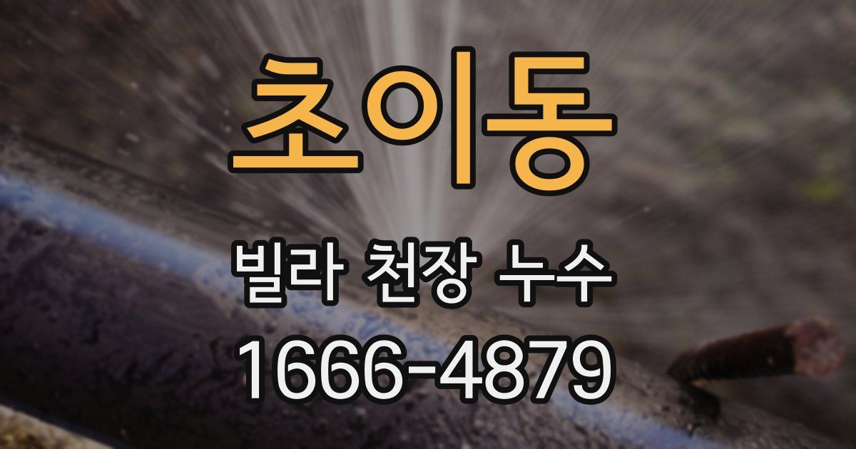 초이동 빌라 천장 누수