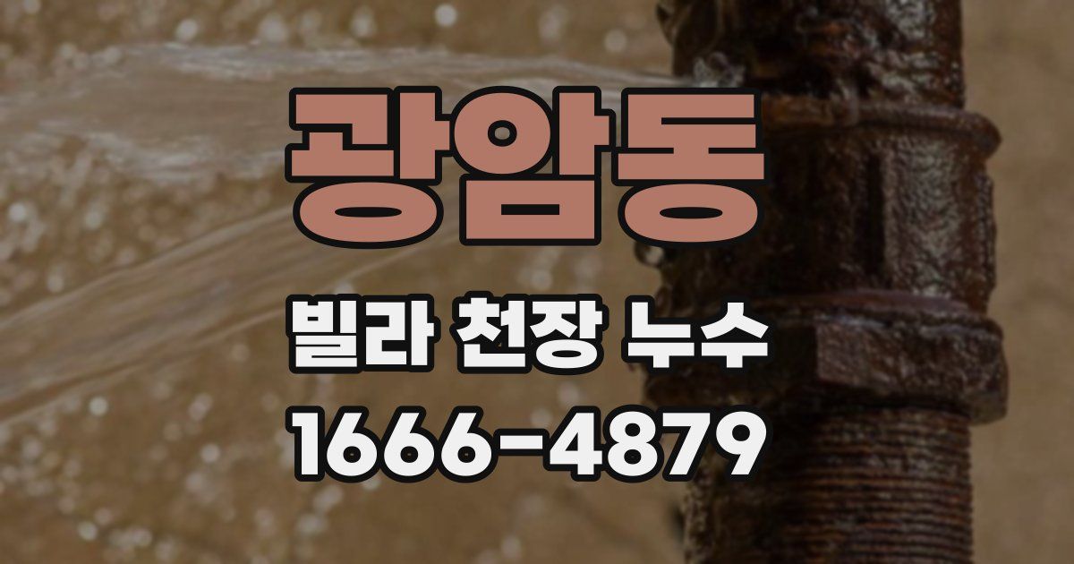 광암동 빌라 천장 누수