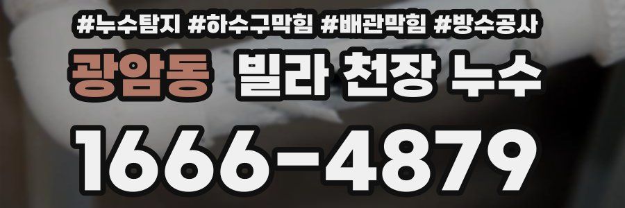광암동 빌라 천장 누수