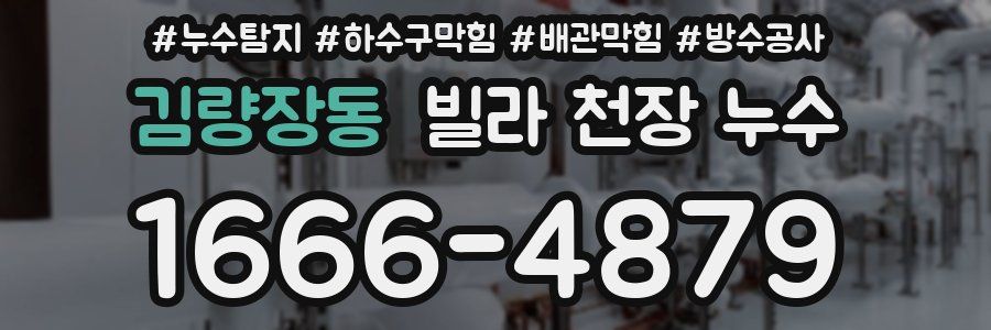 김량장동 빌라 천장 누수