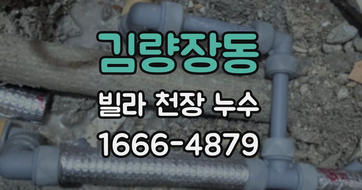 김량장동 빌라 천장 누수