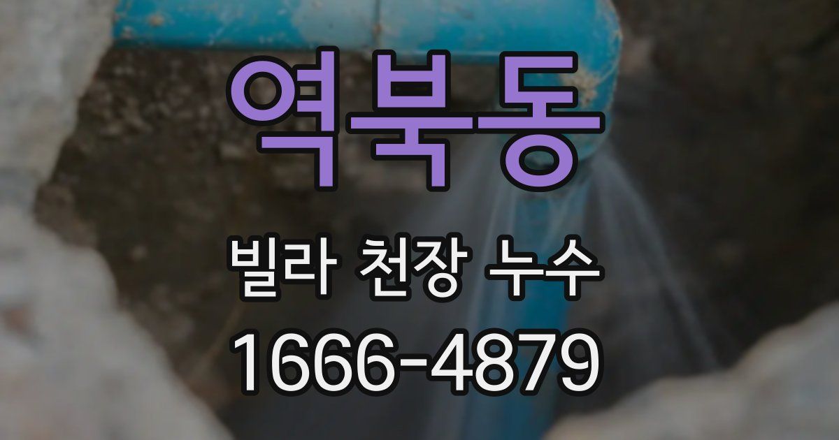 역북동 빌라 천장 누수