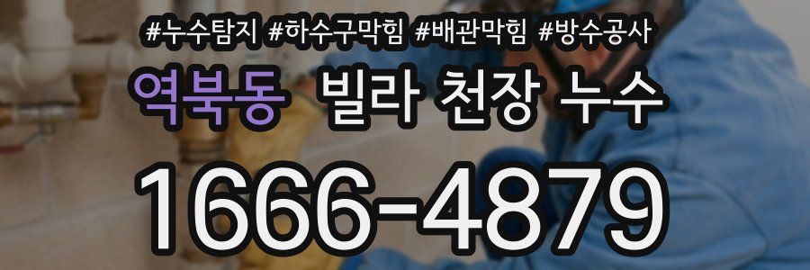 역북동 빌라 천장 누수