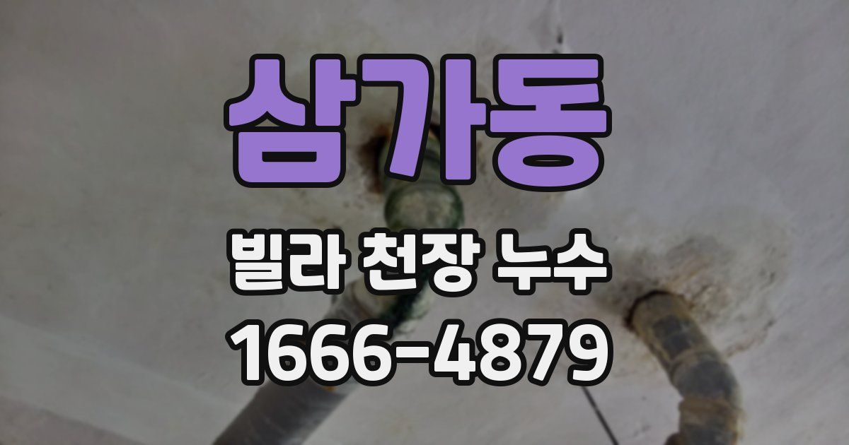 삼가동 빌라 천장 누수