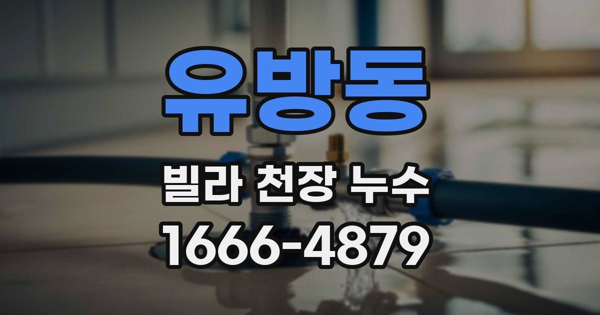 유방동 빌라 천장 누수