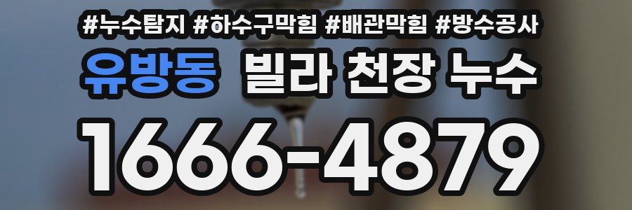 유방동 빌라 천장 누수