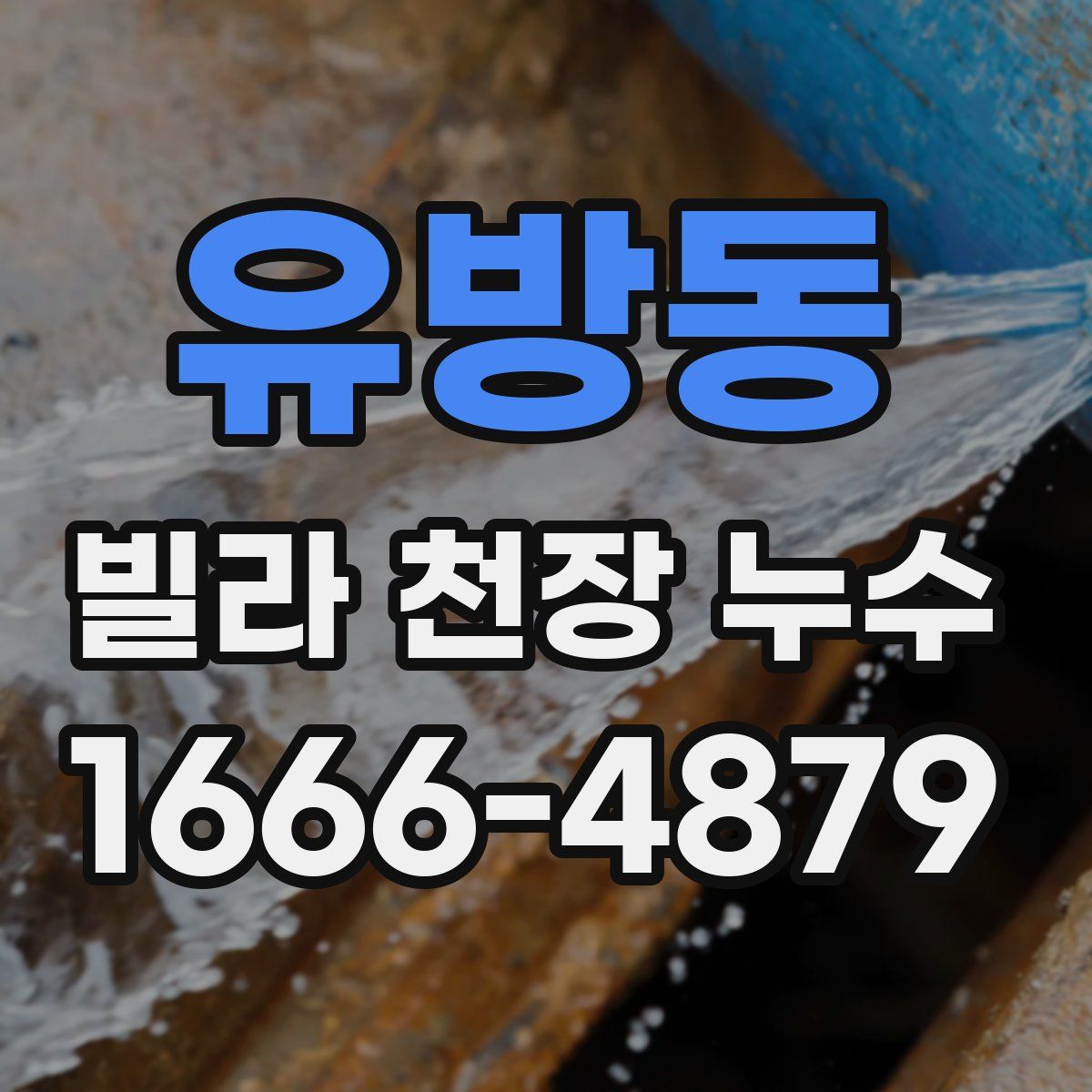 유방동 빌라 천장 누수