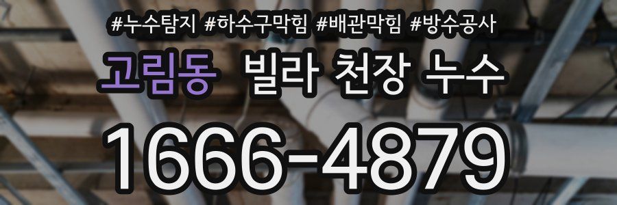 고림동 빌라 천장 누수