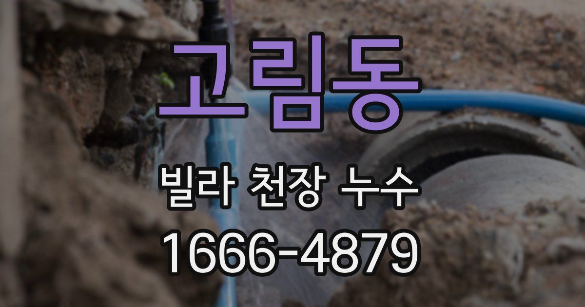 고림동 빌라 천장 누수