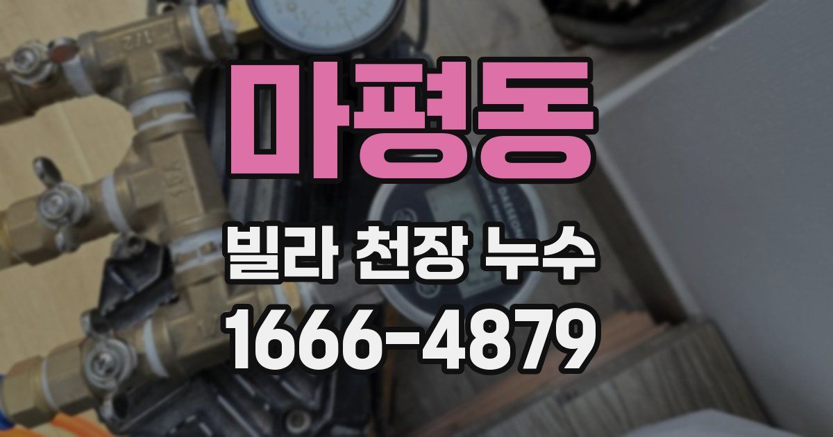 마평동 빌라 천장 누수