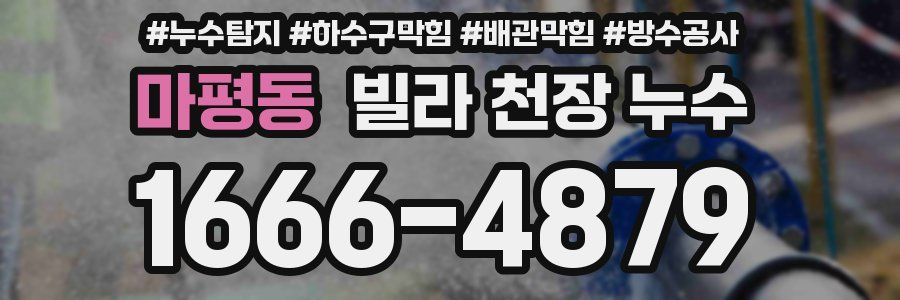 마평동 빌라 천장 누수