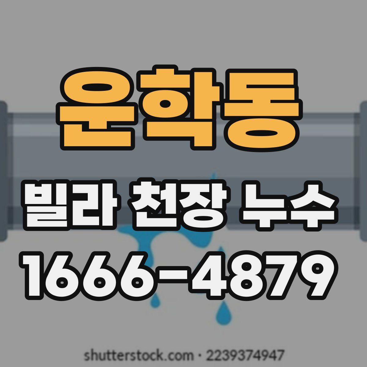 운학동 빌라 천장 누수