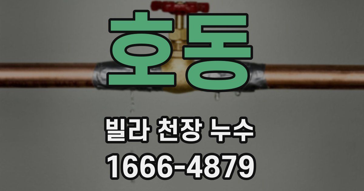 호동 빌라 천장 누수