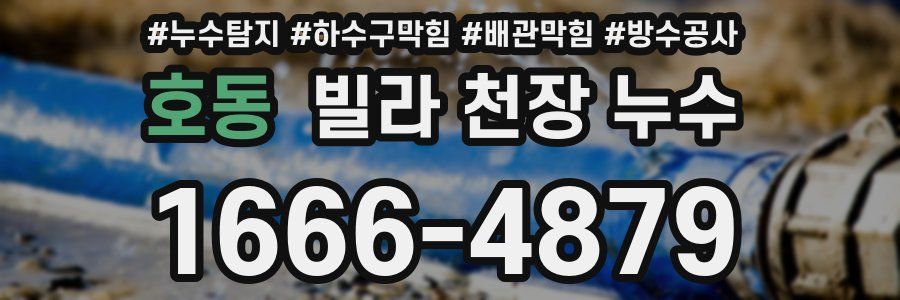 호동 빌라 천장 누수